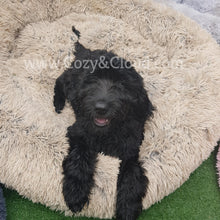 Load image into Gallery viewer, Soft-Cloud Bed⢠(Comfort Edition)