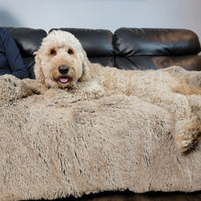 Load image into Gallery viewer, Soft-Cloud Calming Furniture Protector™