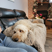 Load image into Gallery viewer, Soft-Cloud Calming Furniture Protector™