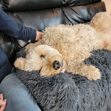 Load image into Gallery viewer, Soft-Cloud Calming Furniture Protector™