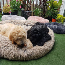 Load image into Gallery viewer, Soft-Cloud Bed⢠(Comfort Edition)