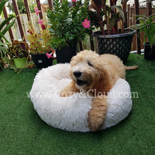 Load image into Gallery viewer, Soft-Cloud Bed⢠(Comfort Edition)