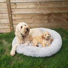 Load image into Gallery viewer, Soft-Cloud Bed⢠(Comfort Edition)