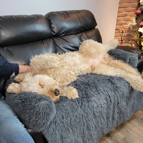 Soft-Cloud Calming Furniture Protector™