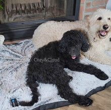 Load image into Gallery viewer, Soft-Cloud Rug™