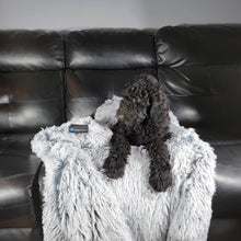 Load image into Gallery viewer, Soft-Cloud Blanket™